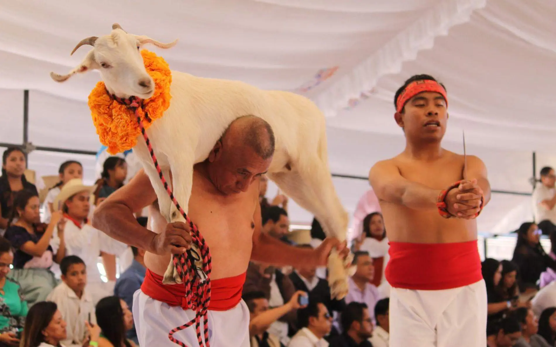 festival matanza tehuacan